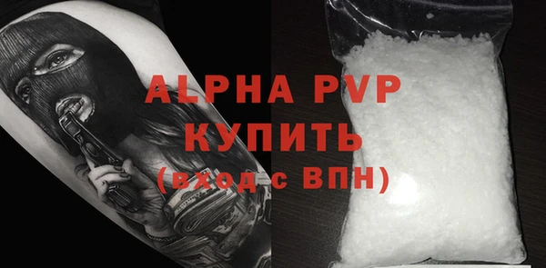 ECSTASY Богданович