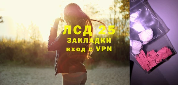 ECSTASY Богданович
