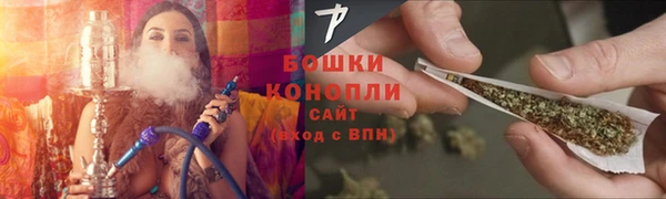 ПСИЛОЦИБИНОВЫЕ ГРИБЫ Беломорск