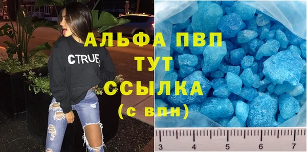 ECSTASY Богданович