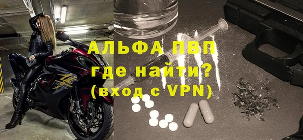ECSTASY Богданович