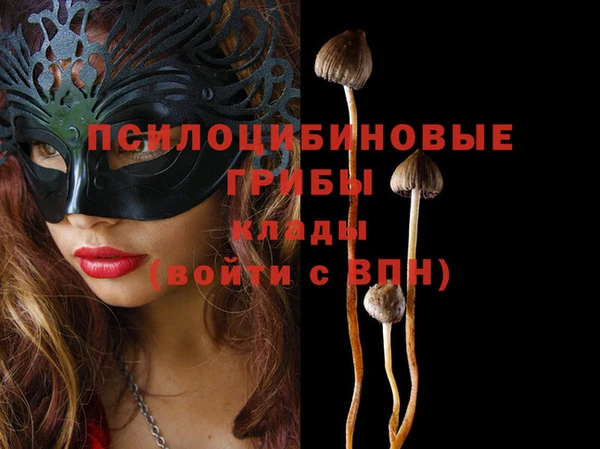 ПСИЛОЦИБИНОВЫЕ ГРИБЫ Беломорск