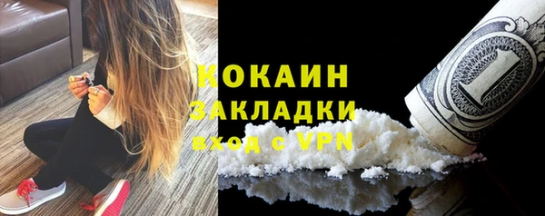 ECSTASY Богданович